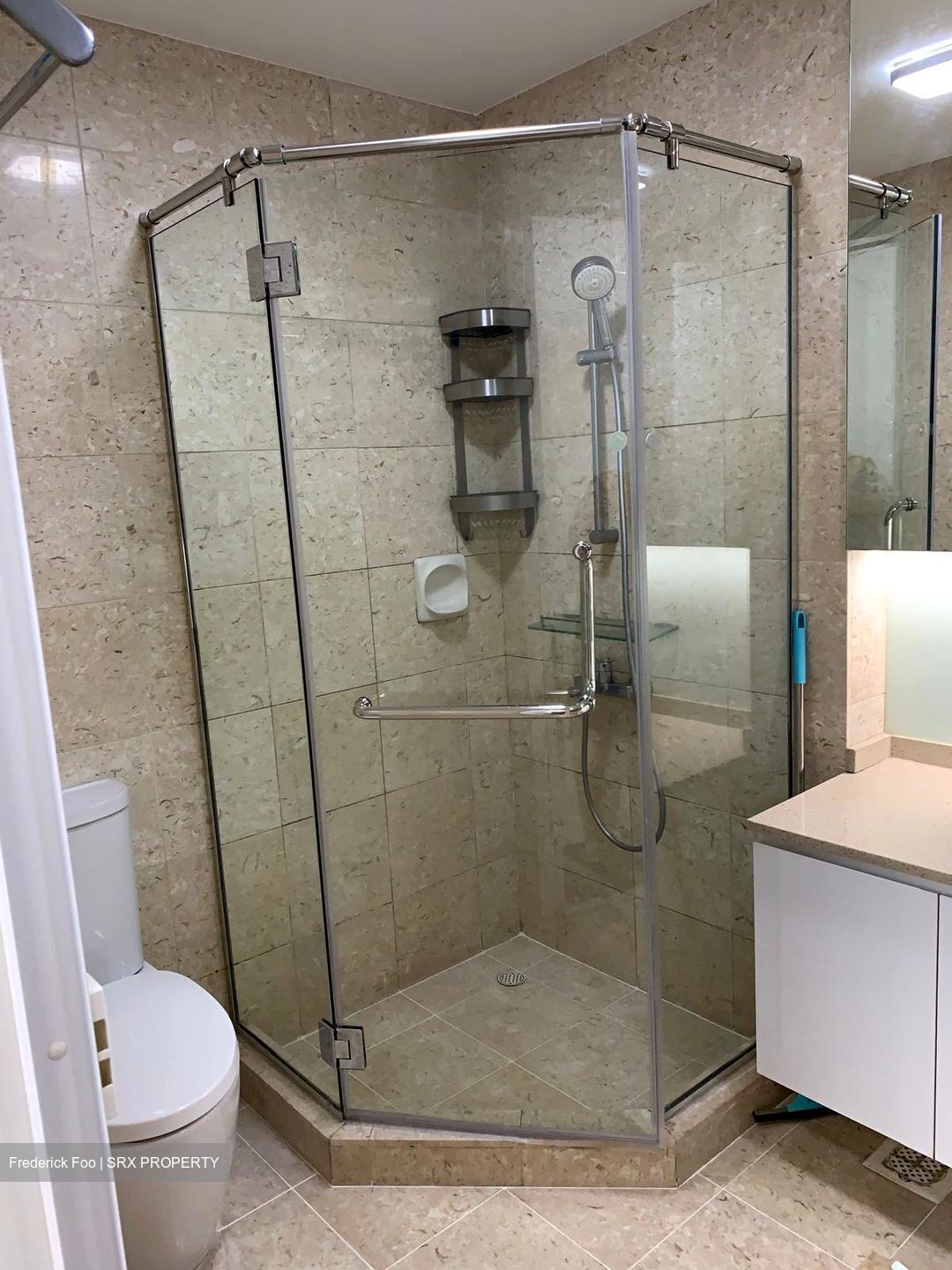 Trellis Towers (D12), Condominium #492568341